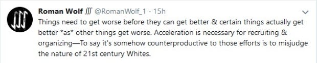 roman wolf_accelerationism