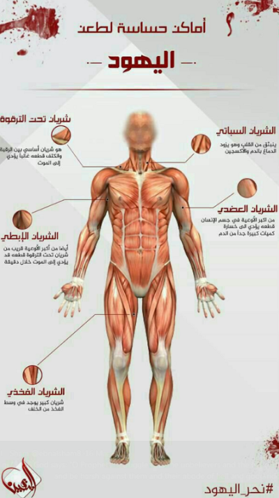 Har Adar diagram