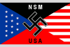 NSM logo NSM logo